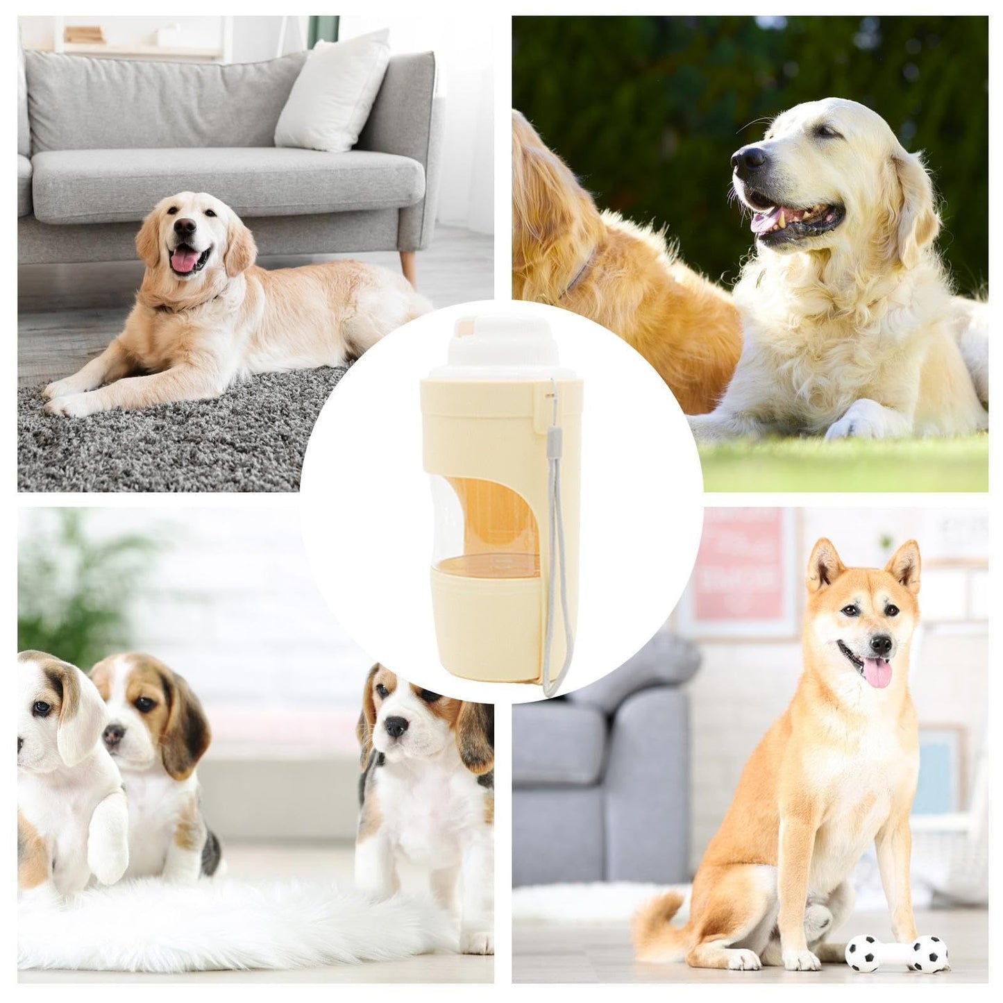 2 In 1 Travel Pet Water Bottle